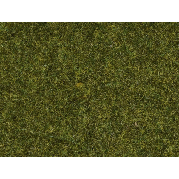 Noch Streugras “Wiese” 2,5?mm, 120?g Dose (08152)