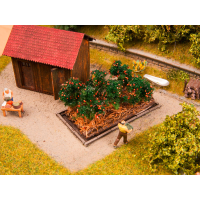 Noch Tomatenstauden (13215)