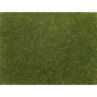 Noch Streugras (8364)