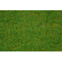 Noch Wildgras (07082)