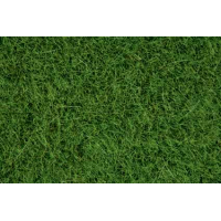 Noch Wildgras, maigrün, 6 mm (07104)