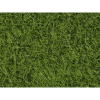 Noch Wildgras, maigrün, 6 mm (07104)