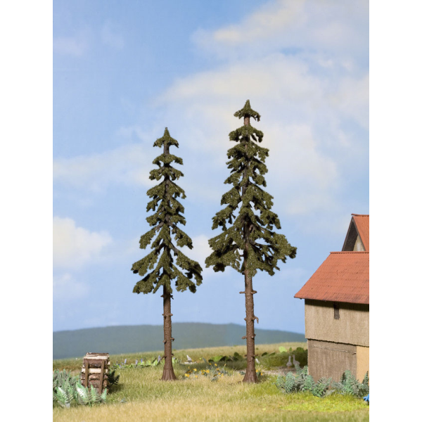 Noch Hochstamm-Wetterfichten, 2 Stück, (21925)